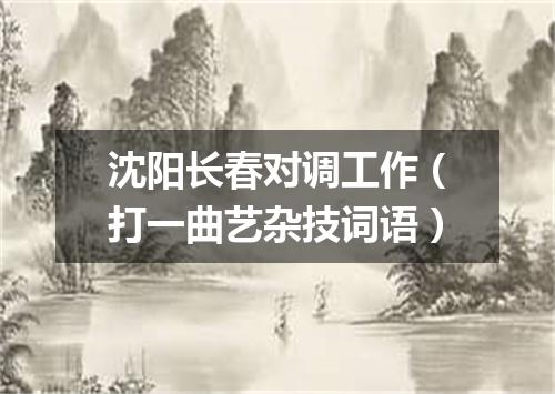 沈阳长春对调工作（打一曲艺杂技词语）