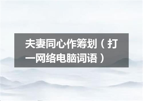 夫妻同心作筹划（打一网络电脑词语）