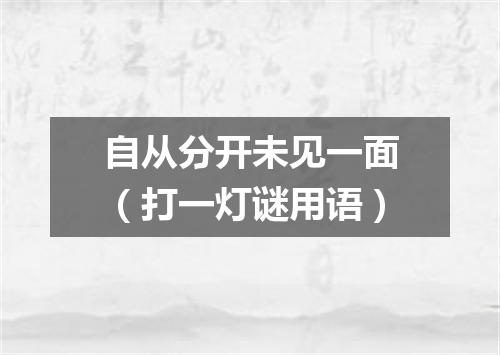 自从分开未见一面（打一灯谜用语）