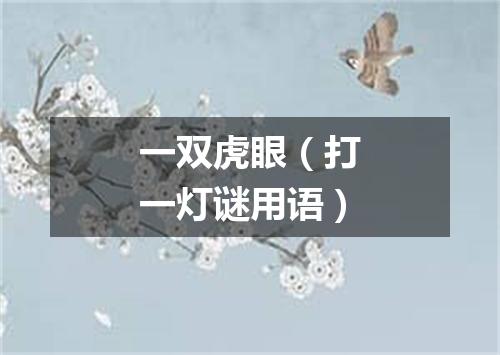 一双虎眼（打一灯谜用语）