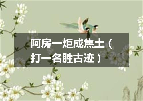 阿房一炬成焦土（打一名胜古迹）