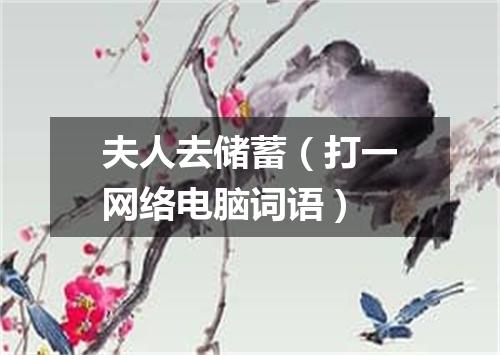 夫人去储蓄（打一网络电脑词语）