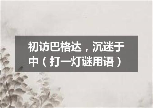 初访巴格达，沉迷于中（打一灯谜用语）