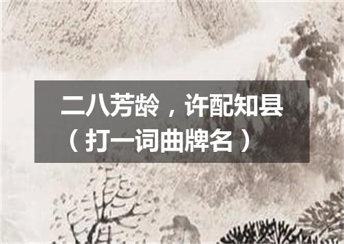 二八芳龄，许配知县（打一词曲牌名）