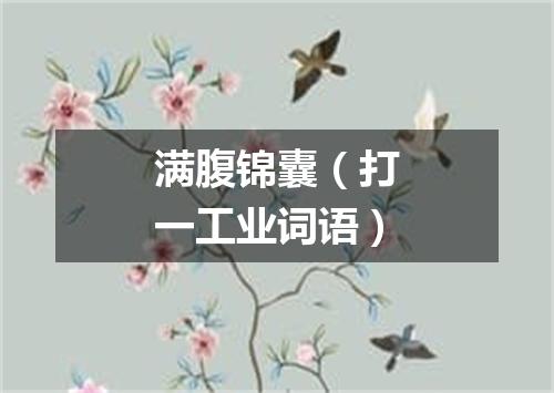 满腹锦囊（打一工业词语）