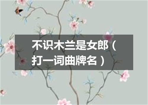 不识木兰是女郎（打一词曲牌名）