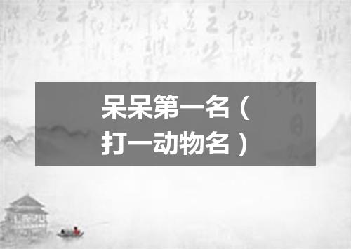 呆呆第一名（打一动物名）