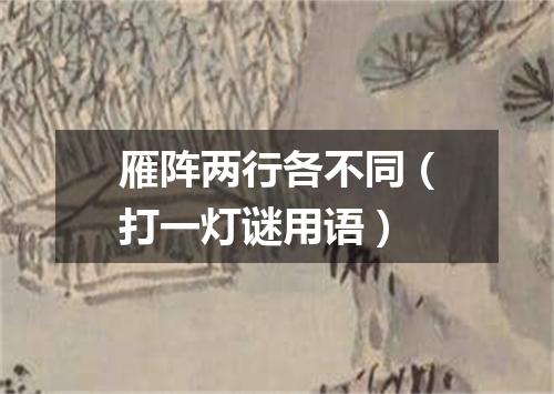 雁阵两行各不同（打一灯谜用语）