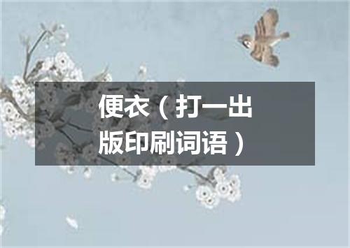 便衣（打一出版印刷词语）