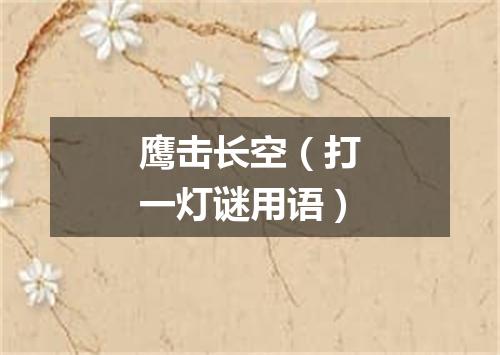 鹰击长空（打一灯谜用语）