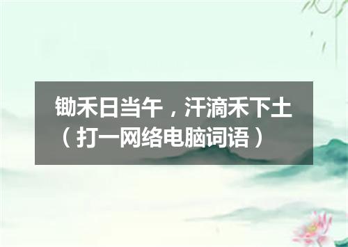 锄禾日当午，汗滴禾下土（打一网络电脑词语）