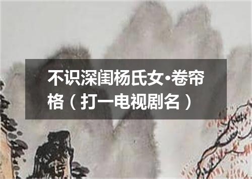 不识深闺杨氏女·卷帘格（打一电视剧名）