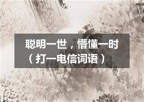 聪明一世，懵懂一时（打一电信词语）