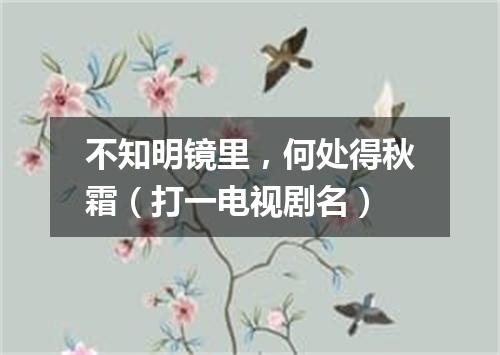 不知明镜里，何处得秋霜（打一电视剧名）