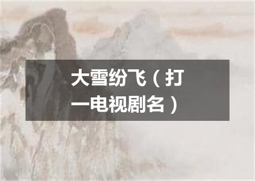 大雪纷飞（打一电视剧名）