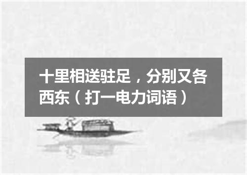 十里相送驻足，分别又各西东（打一电力词语）