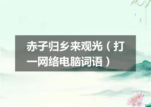 赤子归乡来观光（打一网络电脑词语）