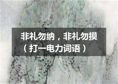 非礼勿纳，非礼勿摸（打一电力词语）