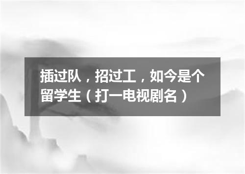 插过队，招过工，如今是个留学生（打一电视剧名）