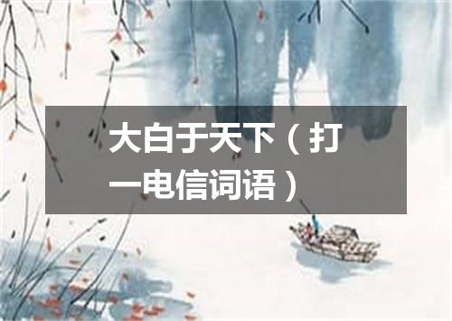 大白于天下（打一电信词语）