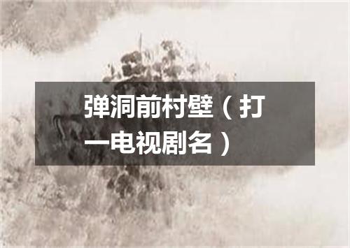 弹洞前村壁（打一电视剧名）