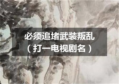 必须追堵武装叛乱（打一电视剧名）