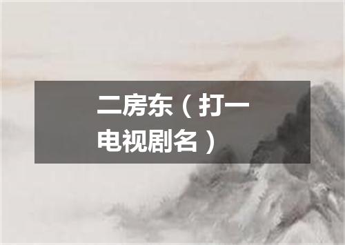 二房东（打一电视剧名）