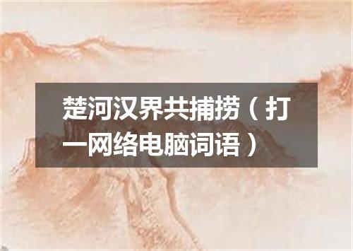楚河汉界共捕捞（打一网络电脑词语）