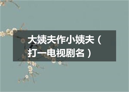 大姨夫作小姨夫（打一电视剧名）