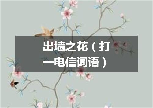 出墙之花（打一电信词语）