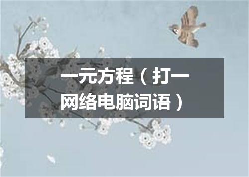 一元方程（打一网络电脑词语）