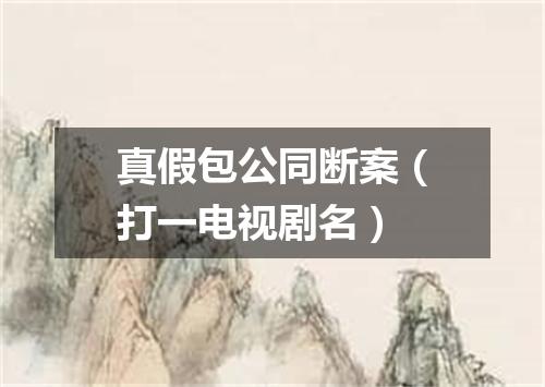 真假包公同断案（打一电视剧名）