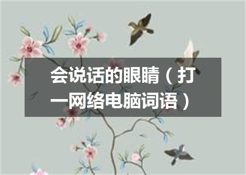 会说话的眼睛（打一网络电脑词语）