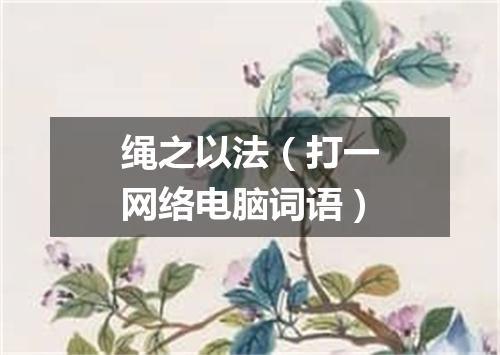 绳之以法（打一网络电脑词语）