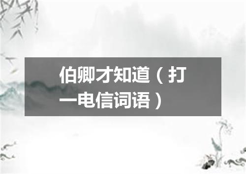 伯卿才知道（打一电信词语）
