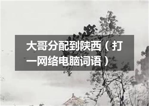 大哥分配到陕西（打一网络电脑词语）