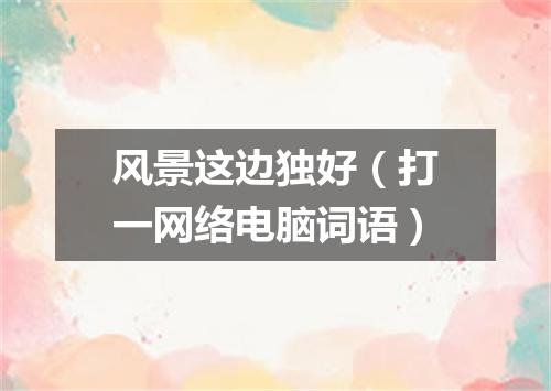 风景这边独好（打一网络电脑词语）