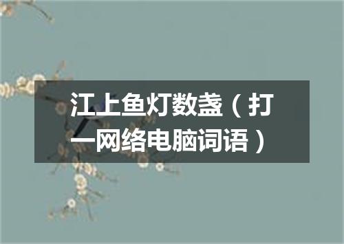 江上鱼灯数盏（打一网络电脑词语）