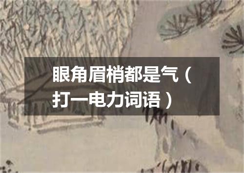 眼角眉梢都是气（打一电力词语）