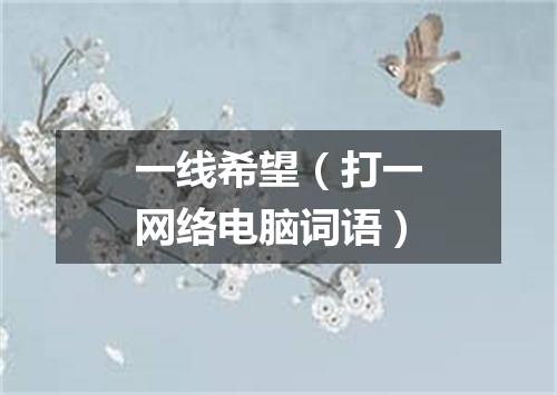 一线希望（打一网络电脑词语）
