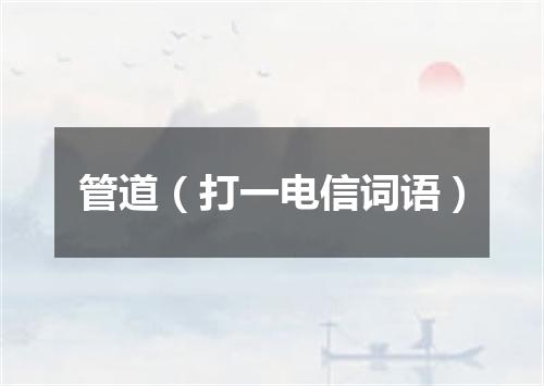 管道（打一电信词语）