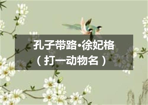 孔子带路·徐妃格（打一动物名）
