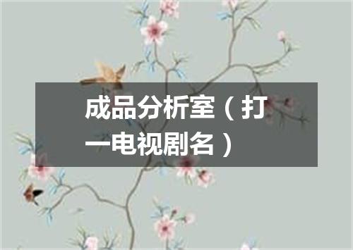 成品分析室（打一电视剧名）