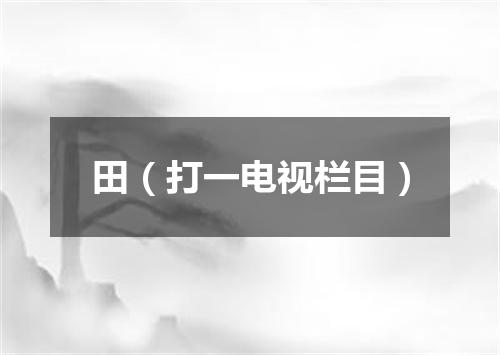 田（打一电视栏目）