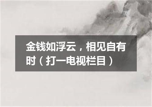 金钱如浮云，相见自有时（打一电视栏目）