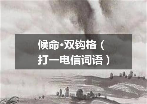 候命·双钩格（打一电信词语）