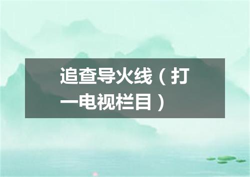 追查导火线（打一电视栏目）