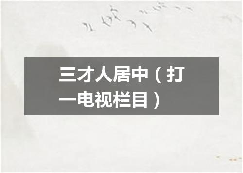 三才人居中（打一电视栏目）