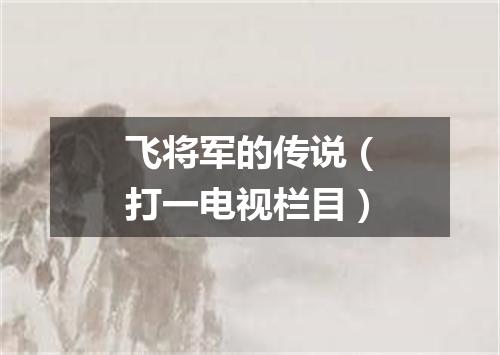 飞将军的传说（打一电视栏目）