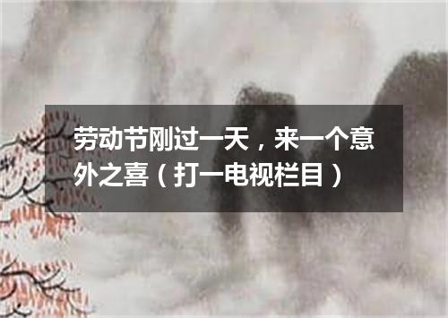 劳动节刚过一天，来一个意外之喜（打一电视栏目）